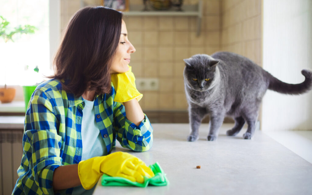 Pet-Friendly Cleaning Solutions: Protect Your Fur Family with Safe Choices 2 happy beautiful young woman yellow gloves is cleaning kitchen with special equipment plays with cute cat
