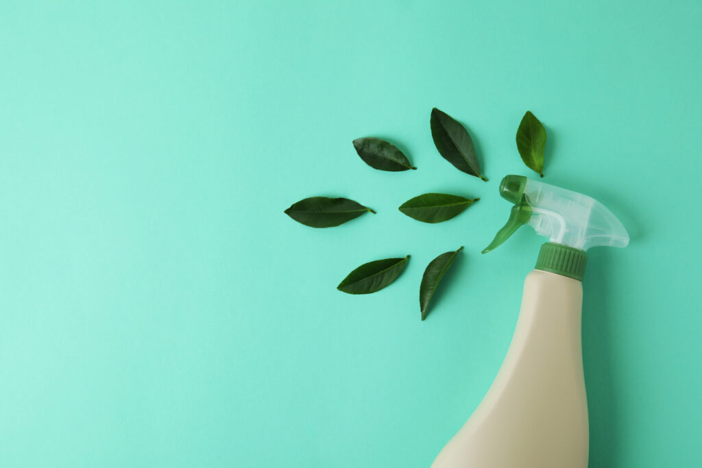 Eco-Friendly Cleaning: Tips and Tricks for a Greener Home 6 blank detergent spray bottle leaves mint isolated background
