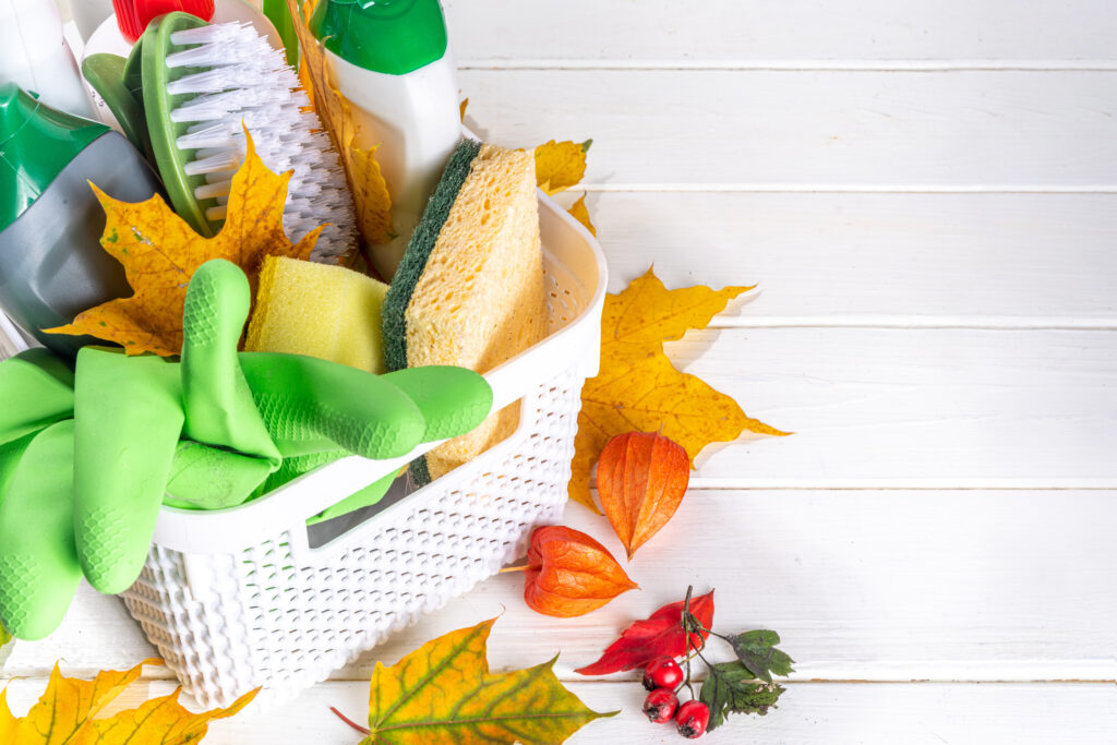 autumn cleaning background