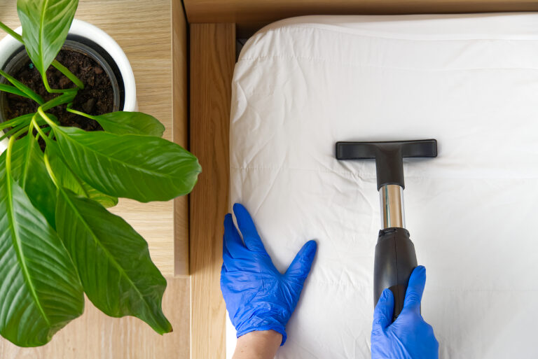 Why Professional Airbnb Cleaning Is Key to Getting 5-Star Reviews: Boosting Guest Satisfaction